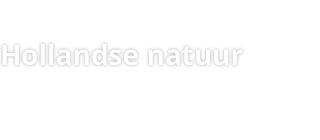 Natuur in de Bonnen